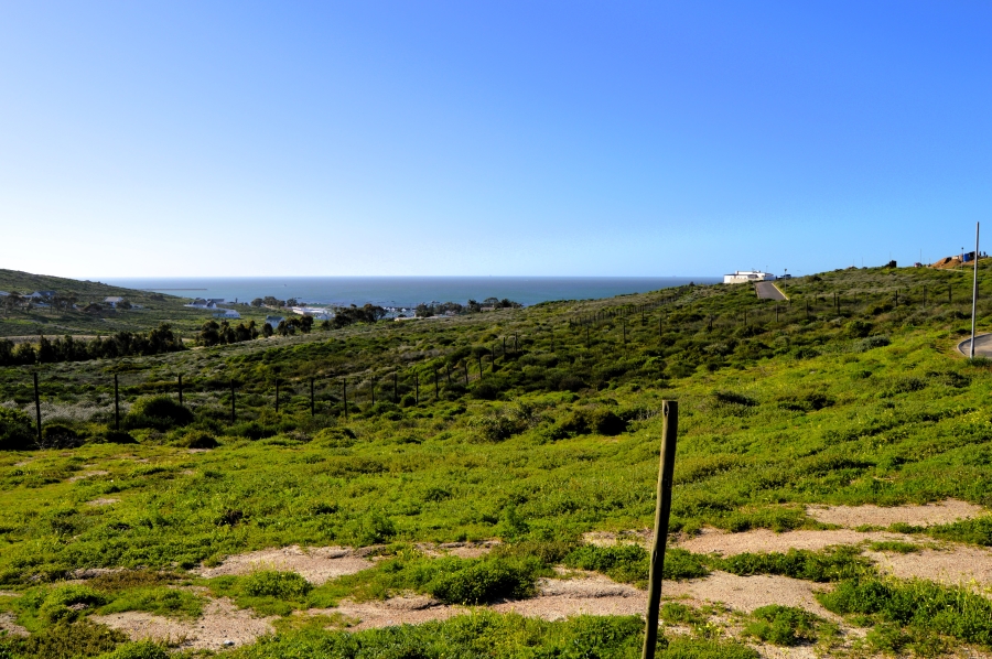 0 Bedroom Property for Sale in Steenbergs Cove Western Cape